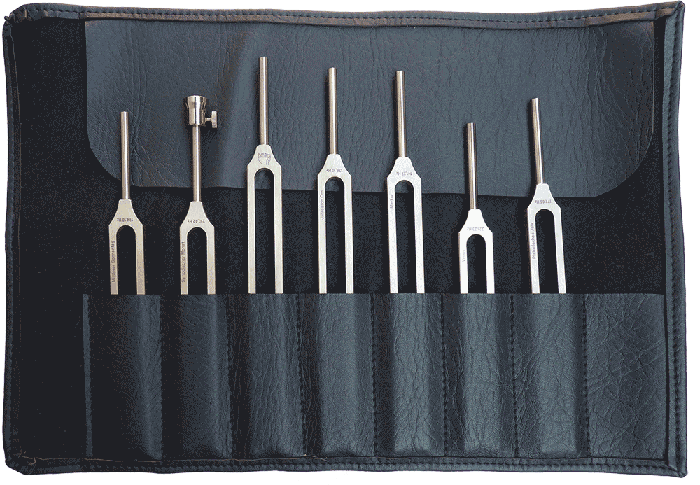 Stemvorken-tas-zonder-grip